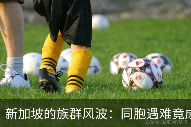 新加坡的族群风波：同胞遇难竟成了网络争吵的导火索
